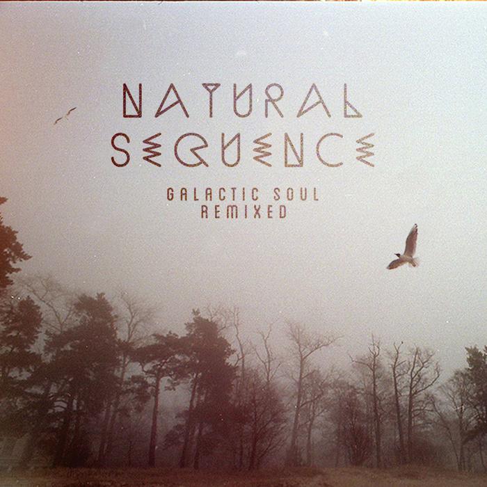 Natural Sequence - Here At Last (feat. Muc J)