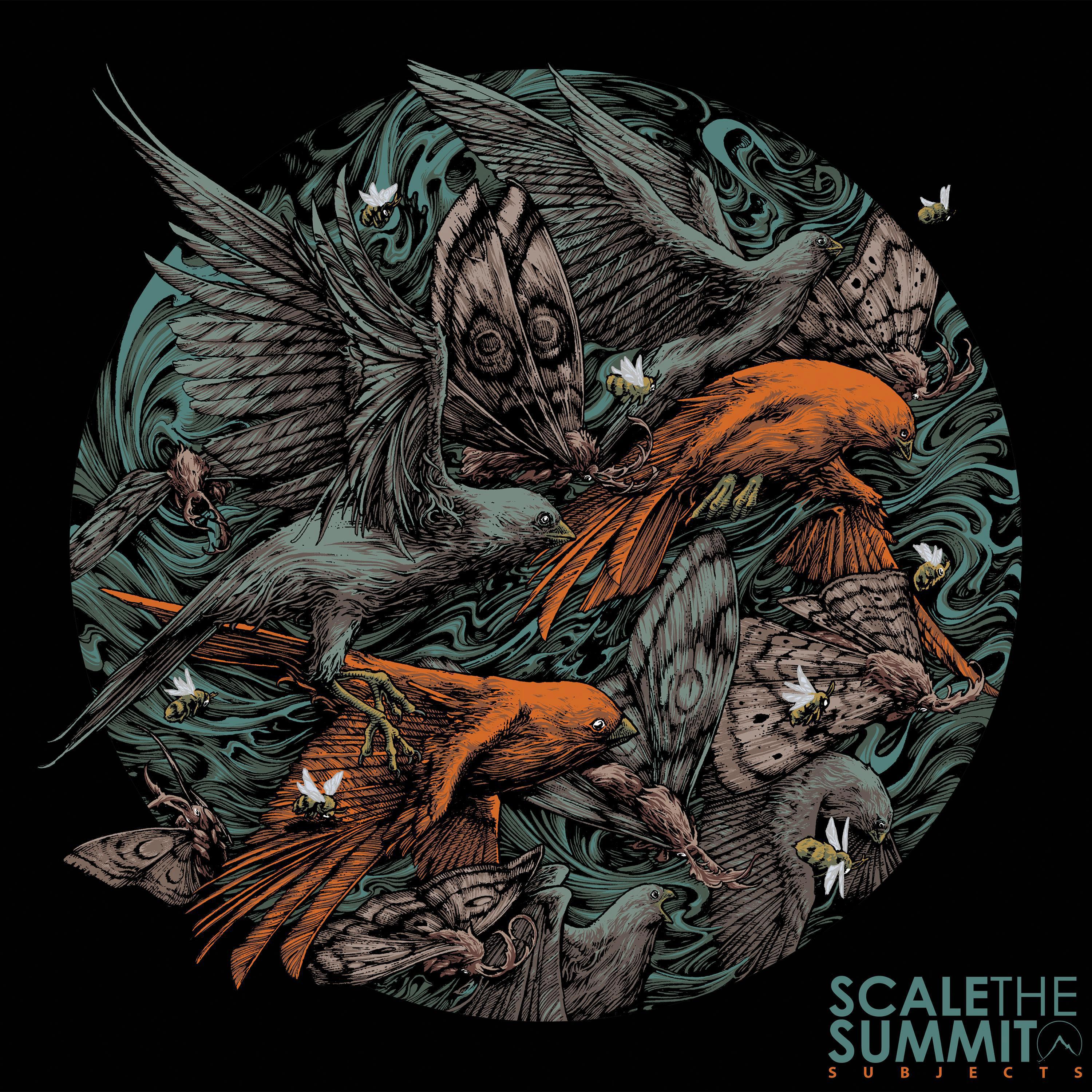 Scale The Summit - Jackhammer Ballet (feat. Joseph Secchiaroli)