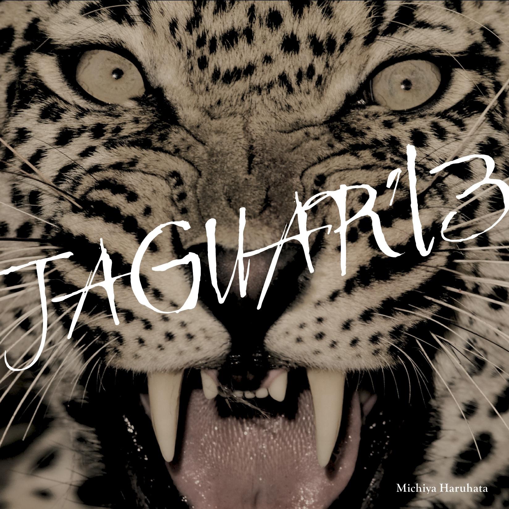 JAGUAR '13专辑