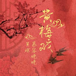 吴琼 - 红罗帕(原版立体声伴奏) （升7半音）