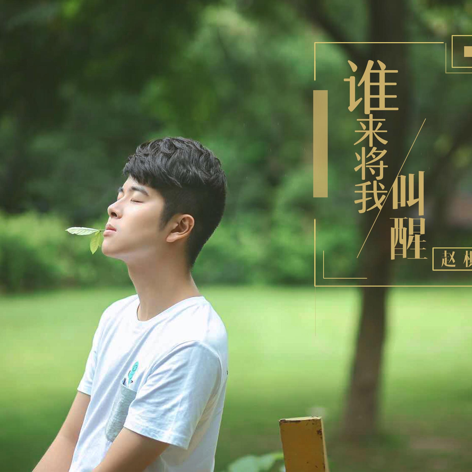 谁来将我叫醒专辑