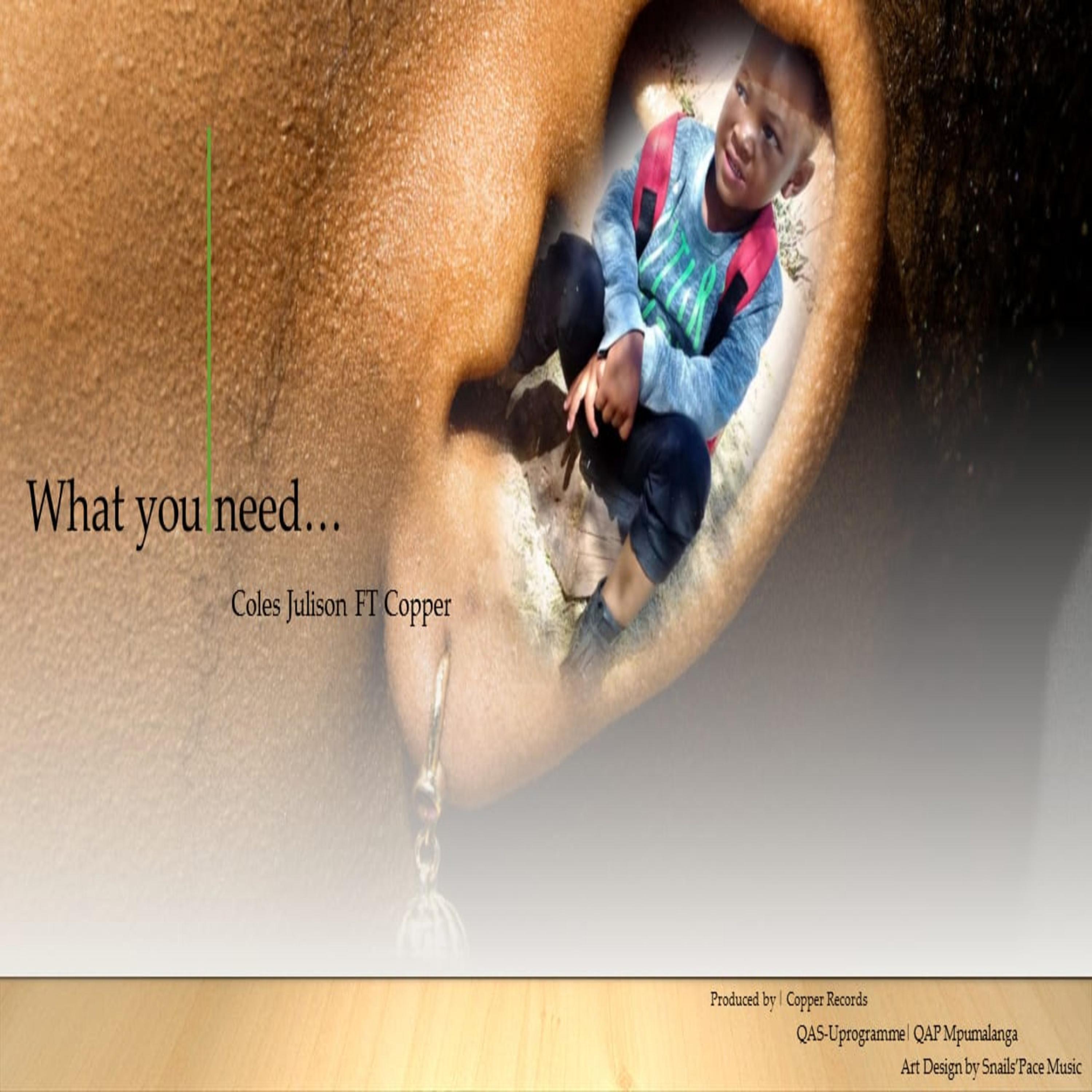 What You Need (feat. Coles Julison)