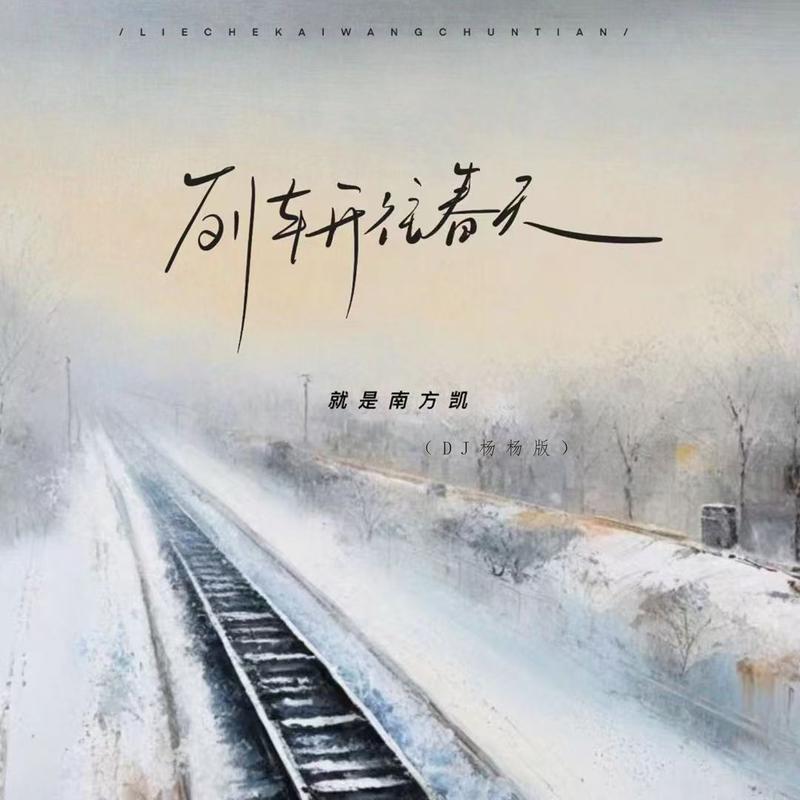 列车开往春天 (DJ 杨杨版)专辑
