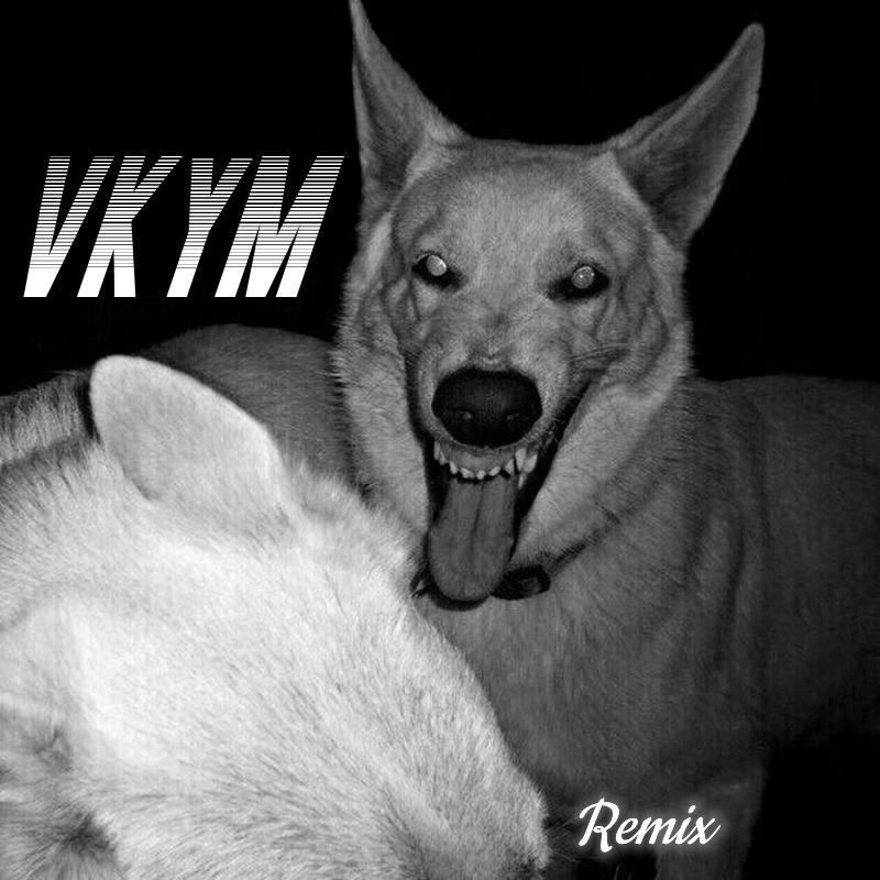 VKYM - 我看好 （DJ卡点变速版）