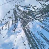 涉川