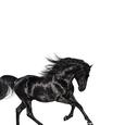 Old Town Road（Instrumental）