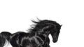 Old Town Road（Instrumental）专辑