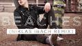 Beaches (Niklas Ibach Remix)专辑