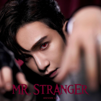 卢瀚霆-Mr Stranger9