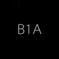 B1a Music