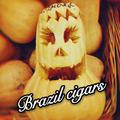 巴西雪茄