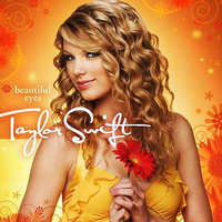 Taylor Swift - Acoustic Guitar Instrumental ( 吉他伴奏全集18首 )17 Tears On My Guitar