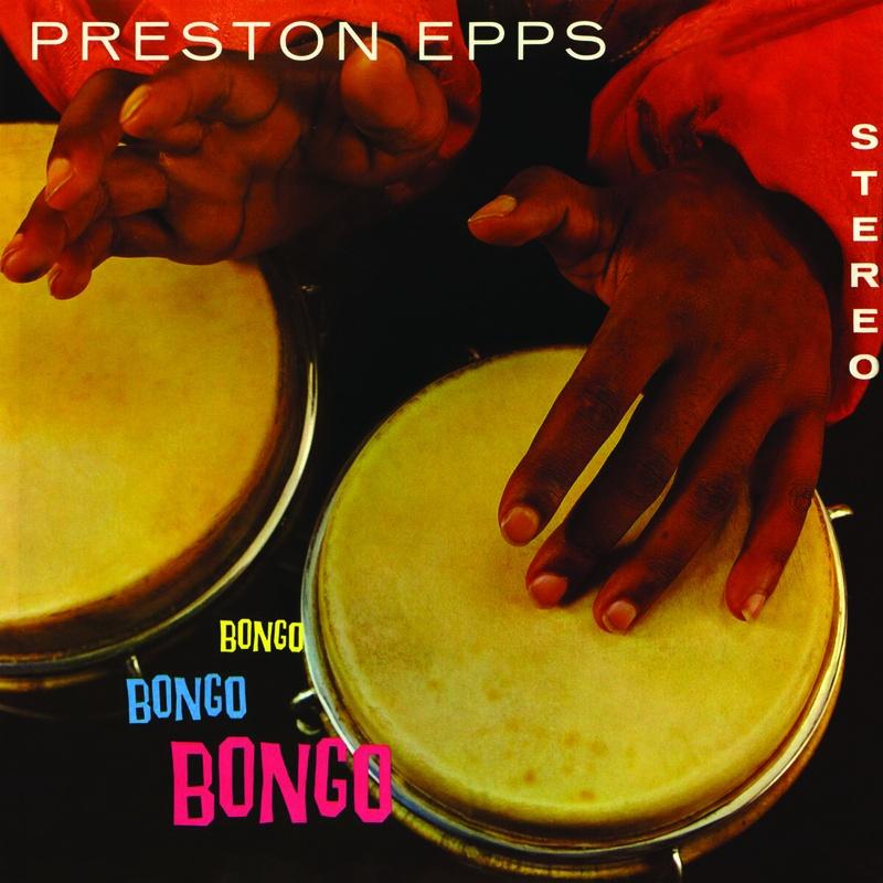 Bongo Bongo Bongo