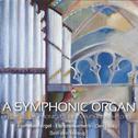 A Symphonic Organ (Franssen-Organ, Elandskerk, The Hague)专辑