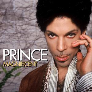 Prince - Magnificent (Pre-V) 带和声伴奏 （升1半音）