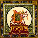 India Awakening (Instrumental)专辑