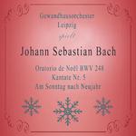 Gewandhausorchester Leipzig spielt: Johann Sebastian Bach: Oratorio de Noël BWV 248, Kantate Nr. 5, 专辑