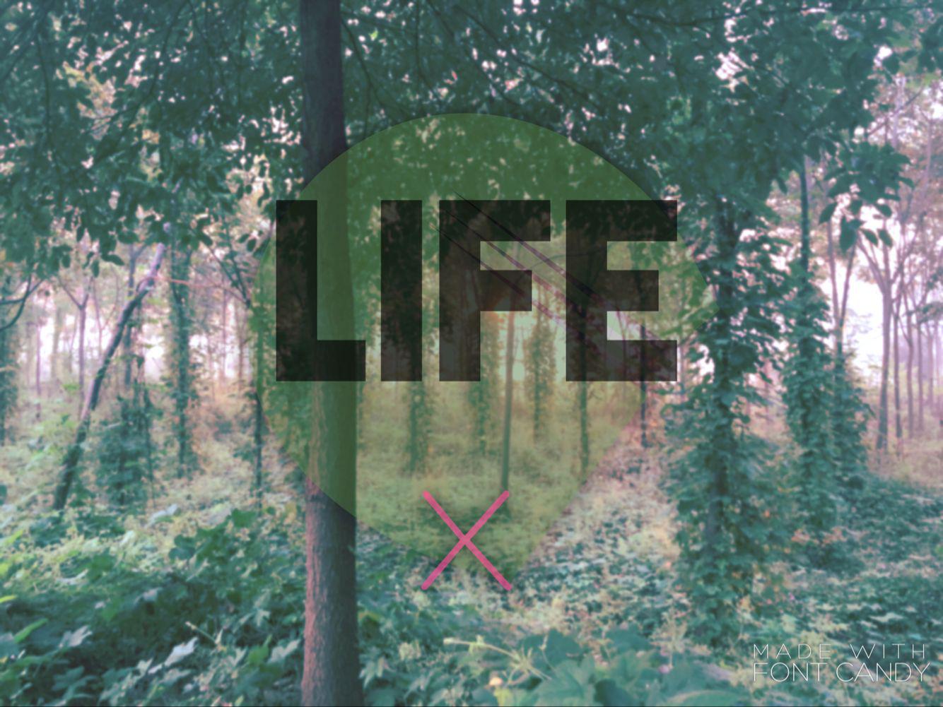 Life（VIP Remix）专辑