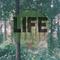 Life（VIP Remix）专辑