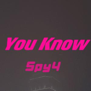 Spy4、NickTheWorld - 治专家（无人声）纯伴奏 （升3半音）