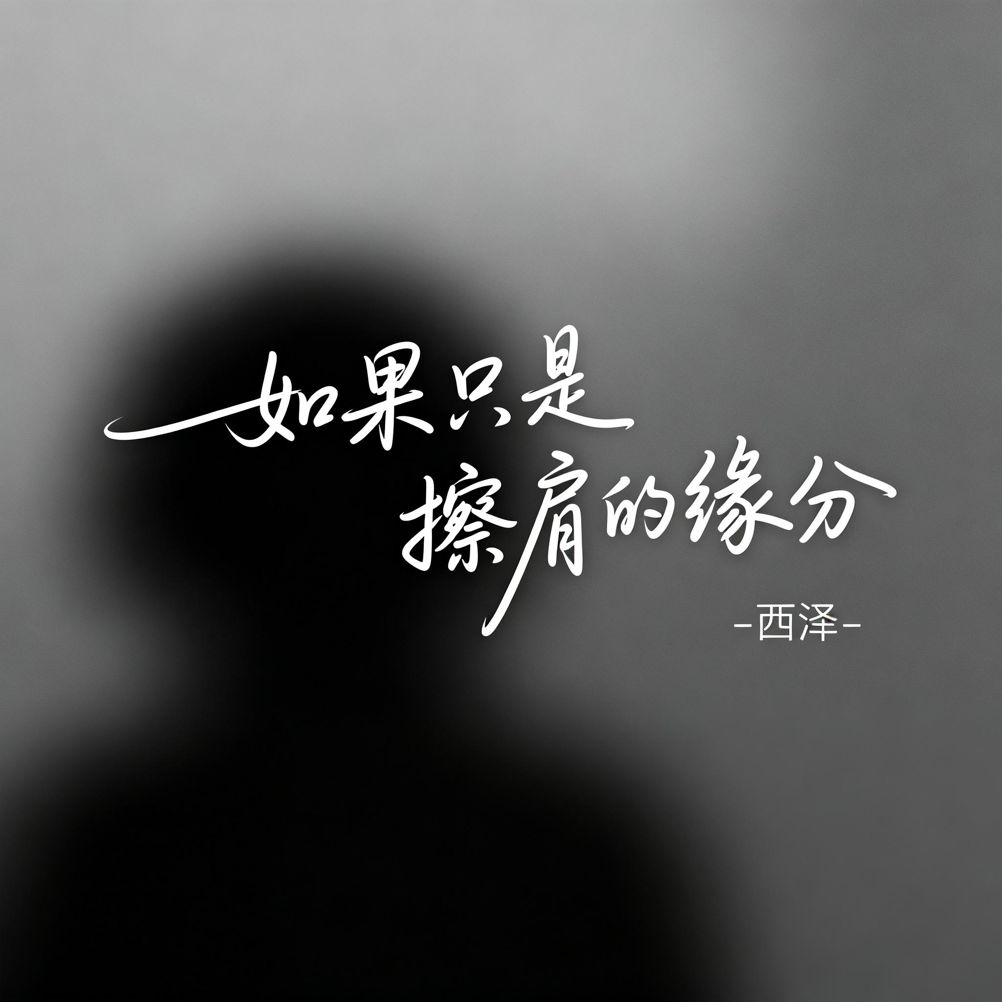 如果只是擦肩的缘分（抖音热播版）