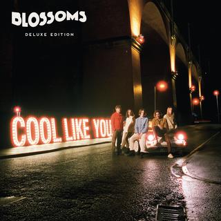 Blossoms - Holiday Morning Coming Down