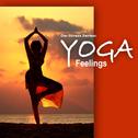 De-Stress Series: Yoga Feelings专辑