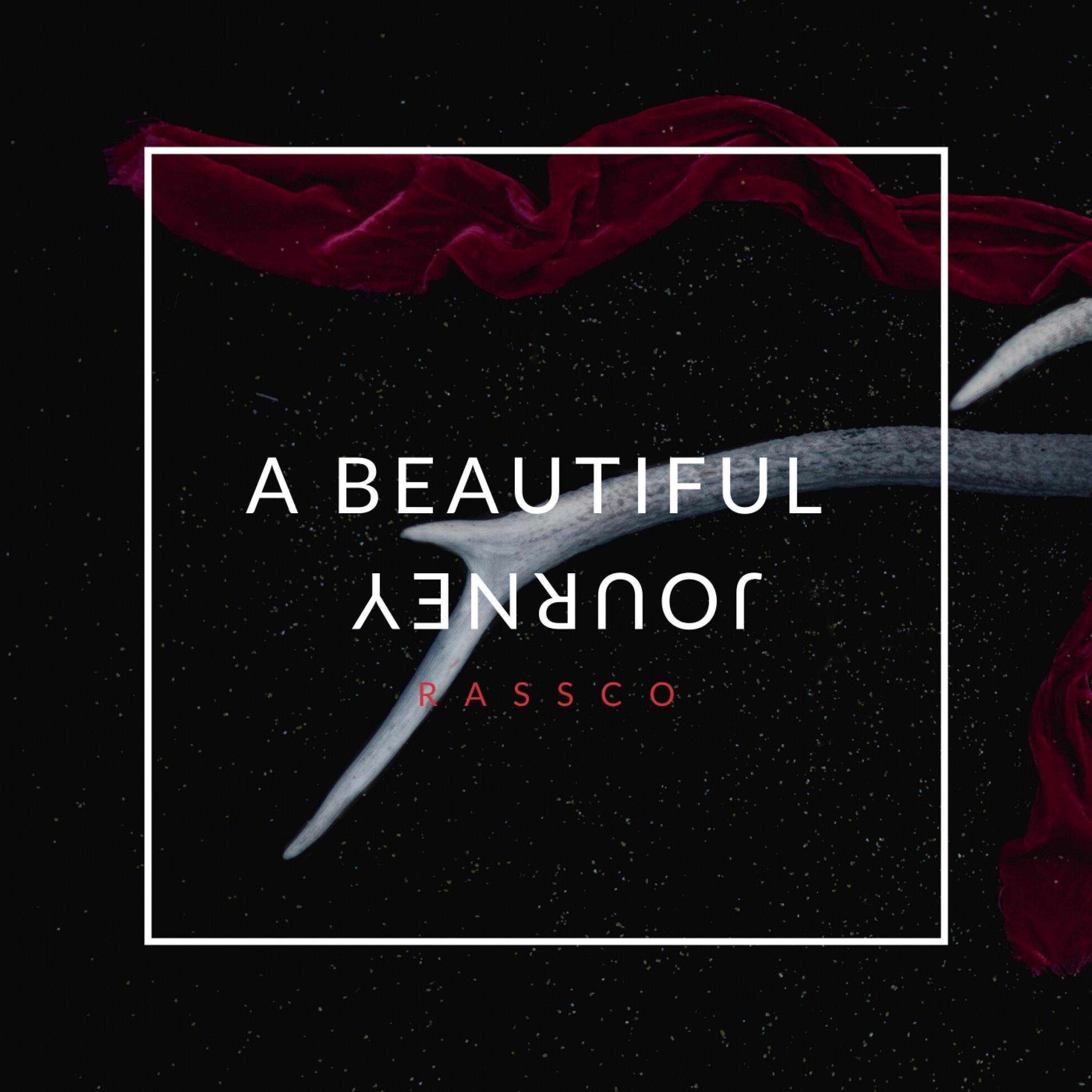 Rassco - Something Analog