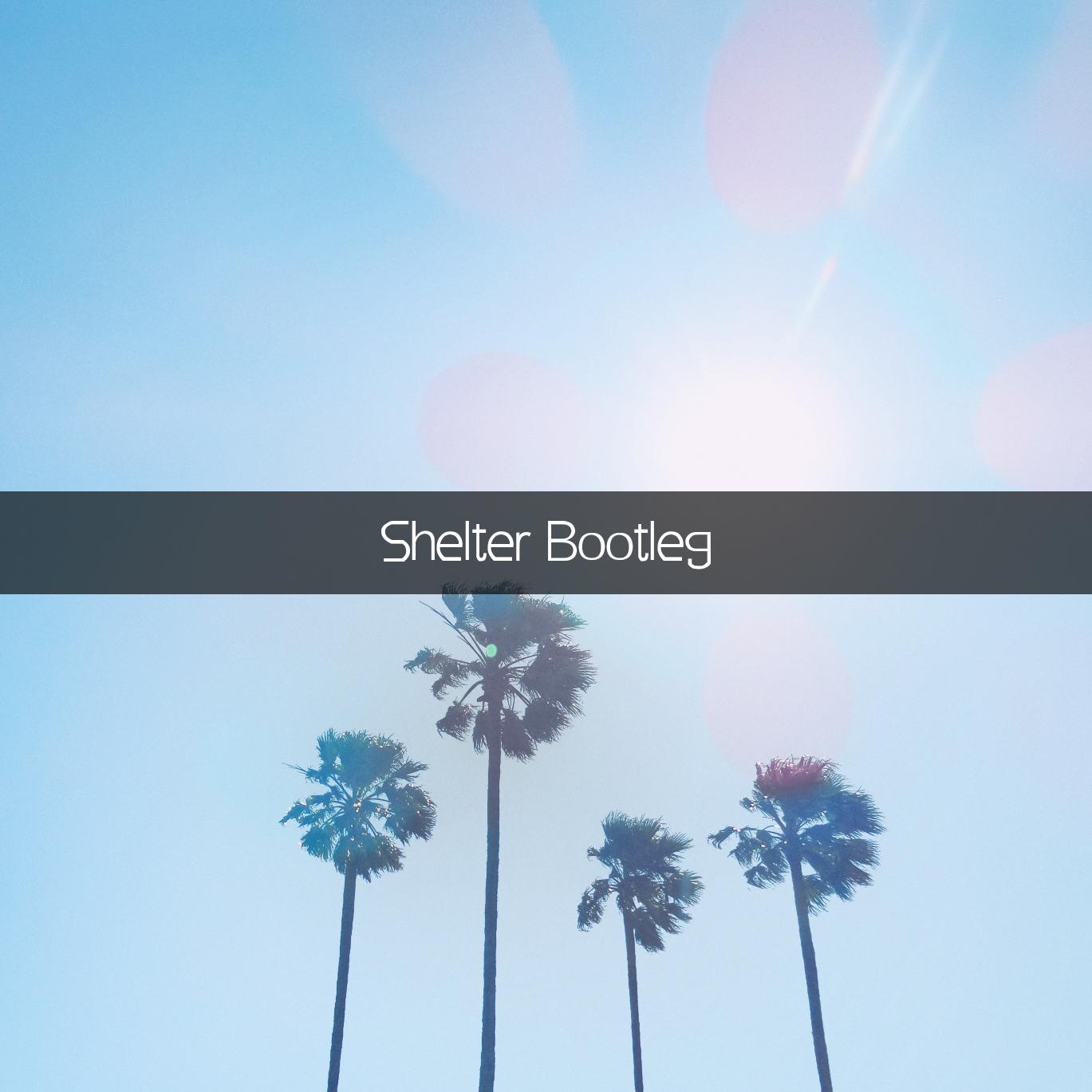 Shelter (AeeLion Bootleg)专辑