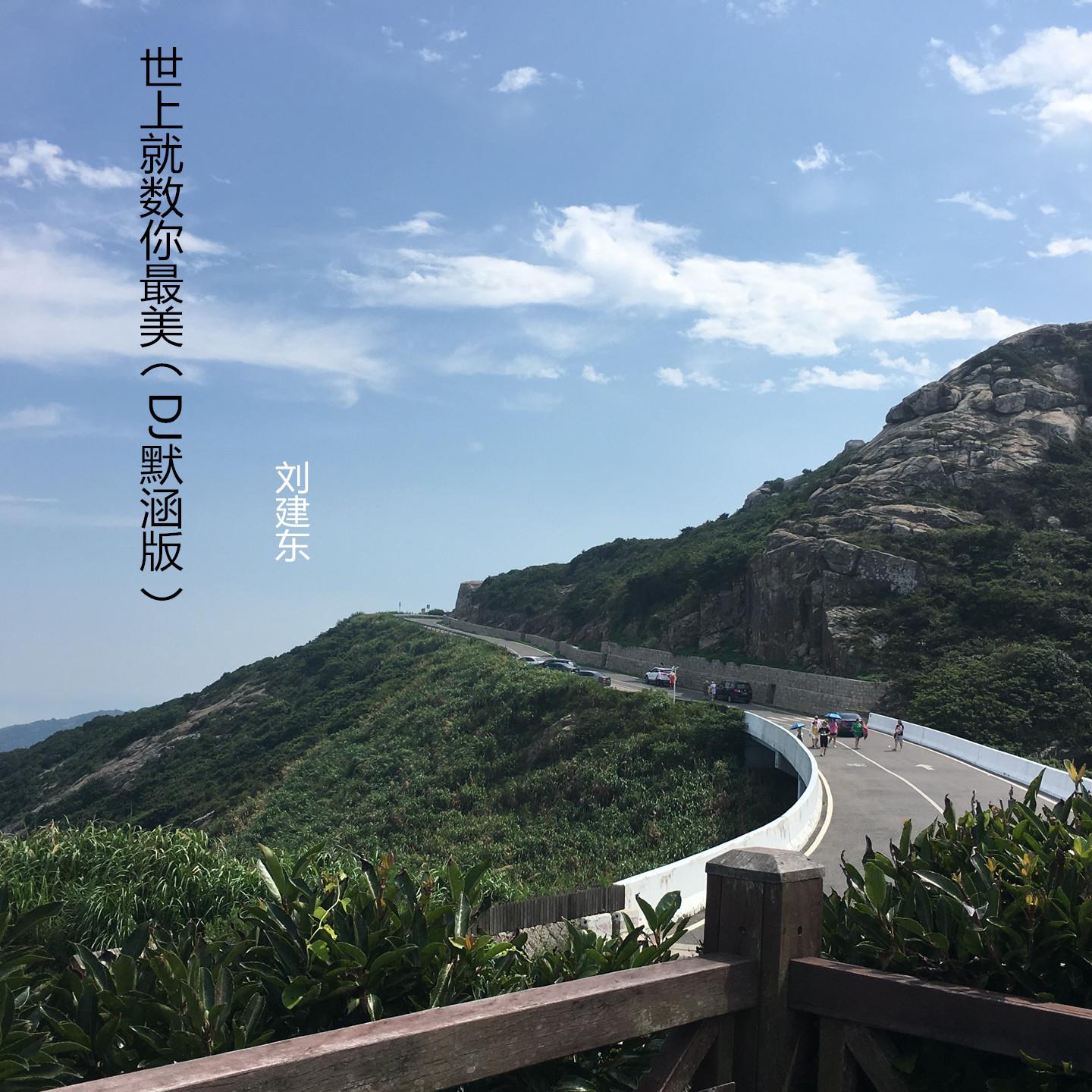 世上就数你最美 (DJ默涵版)