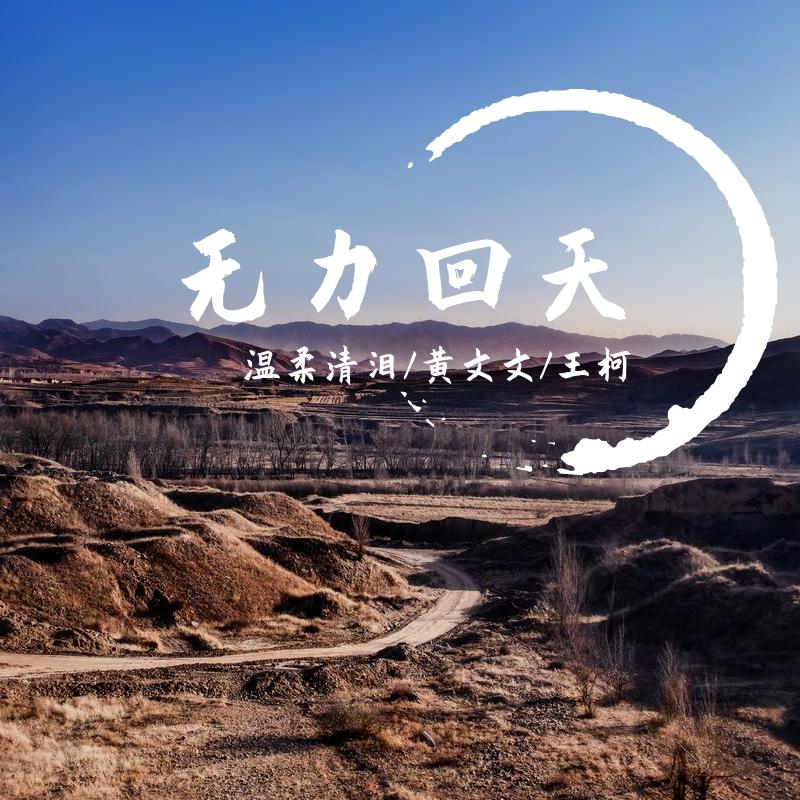 无力回天
