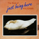 The Best of Anugama : Just Being Here