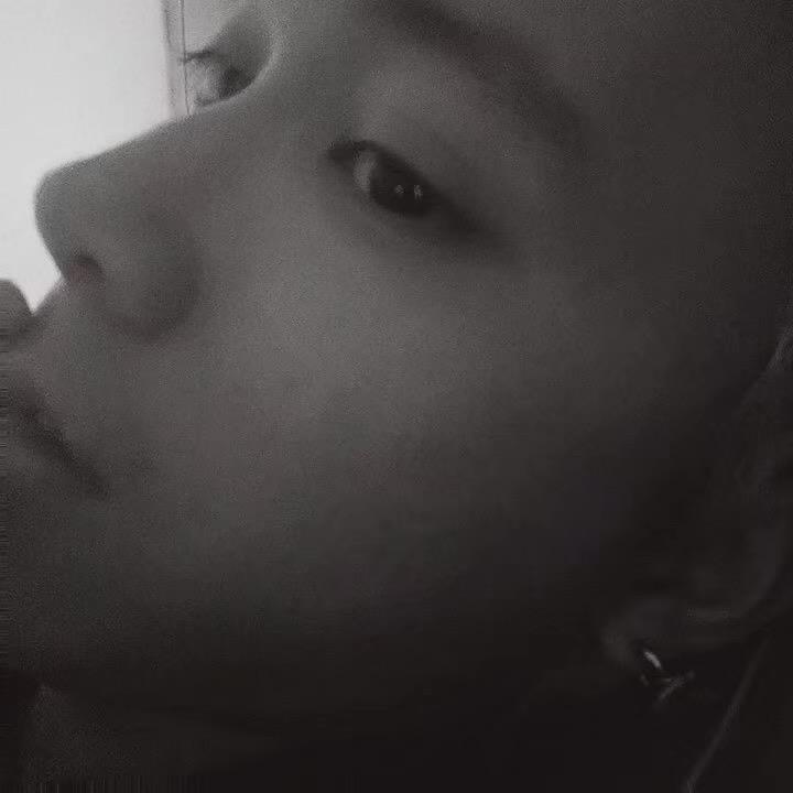 塑 料 愛 的 蒸 氣 波