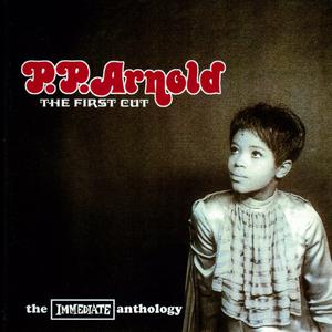 P P Arnold - First Cut Is The Deepest (G karaoke) 带和声伴奏