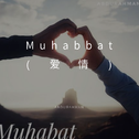 Muhabbat(爱情)专辑