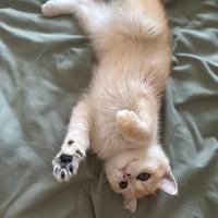 R7 - 分享欲真的很重要吗