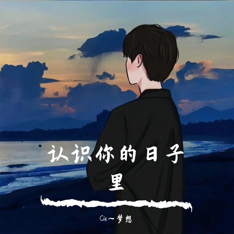 认识你的日子里