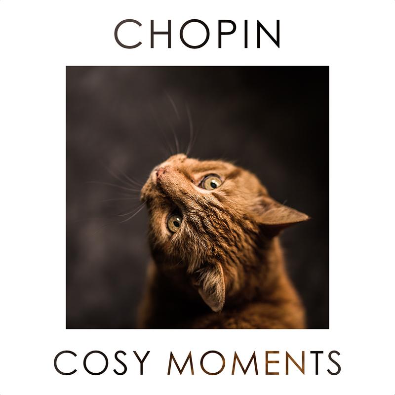 Chopin Cosy Moments