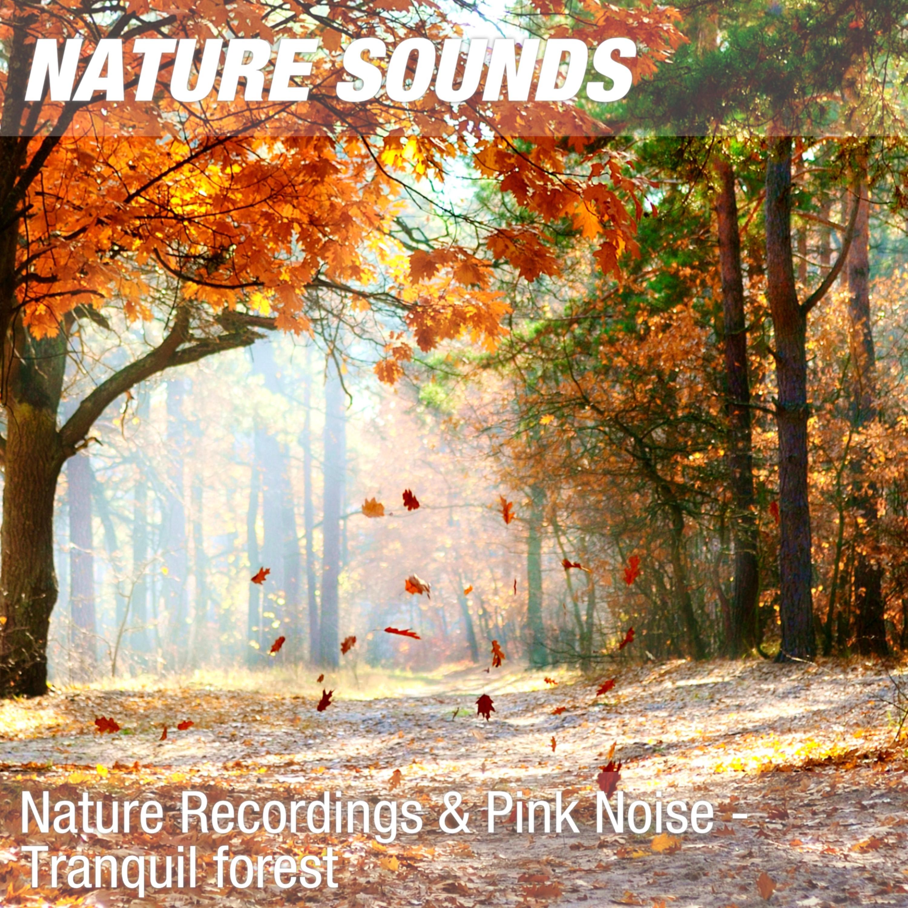 Nature Sounds for Wellness, Spa & Ayurveda (Quiet forest, pink noise ...