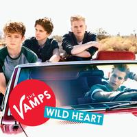 Wild Heart - The Vamps (HT karaoke) 带和声伴奏