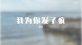 我为你发了疯专辑