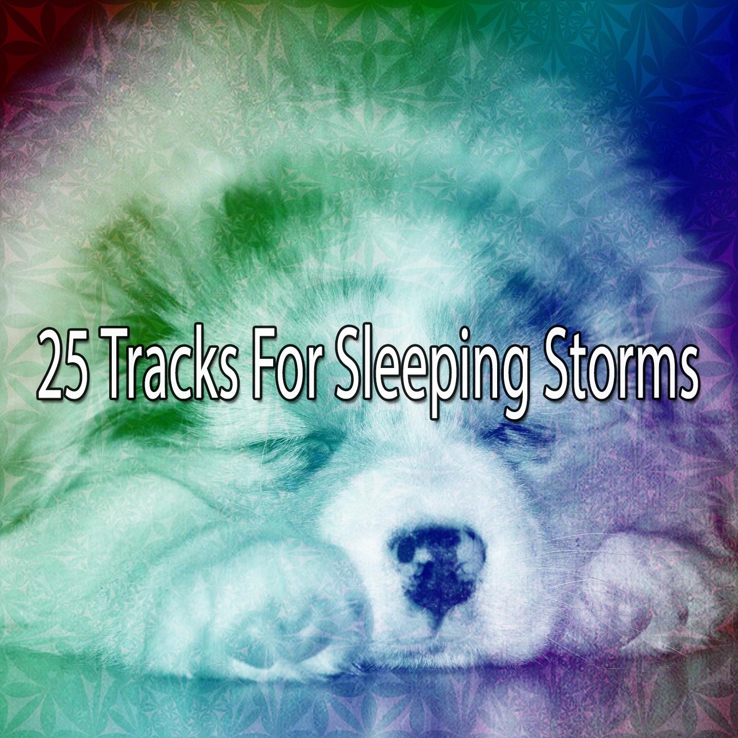 25 Tracks For Sleeping Storms专辑