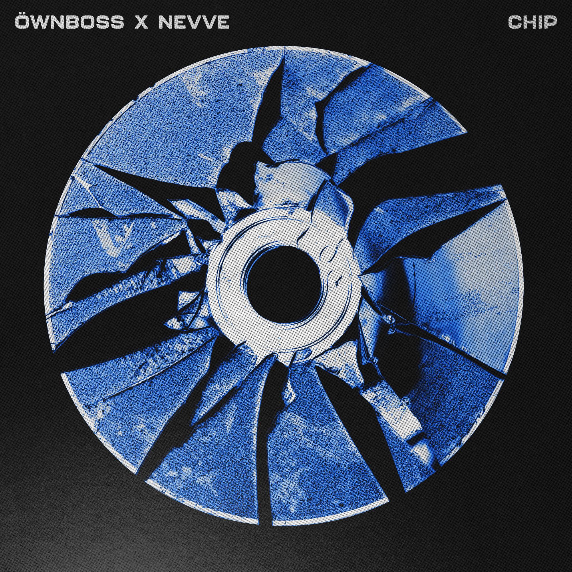 Chip