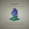 Shelter (Heyder Remix)专辑