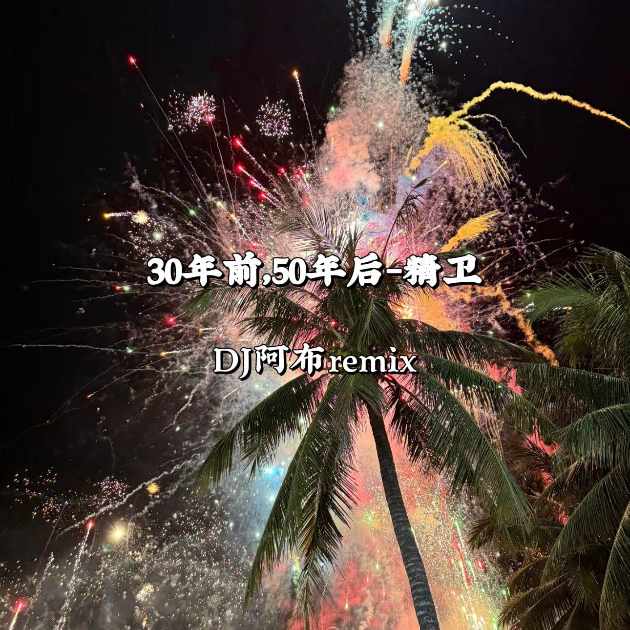 30年前，50年后 - 精卫DJ阿布remix