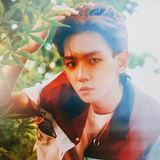 韩国电子 | 奇幻丛林里少年的冒险