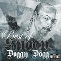 Best of Snoop Doggy Dogg专辑