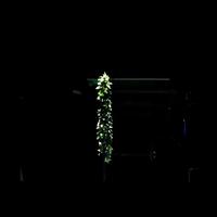 We'll Remember You (Demo)