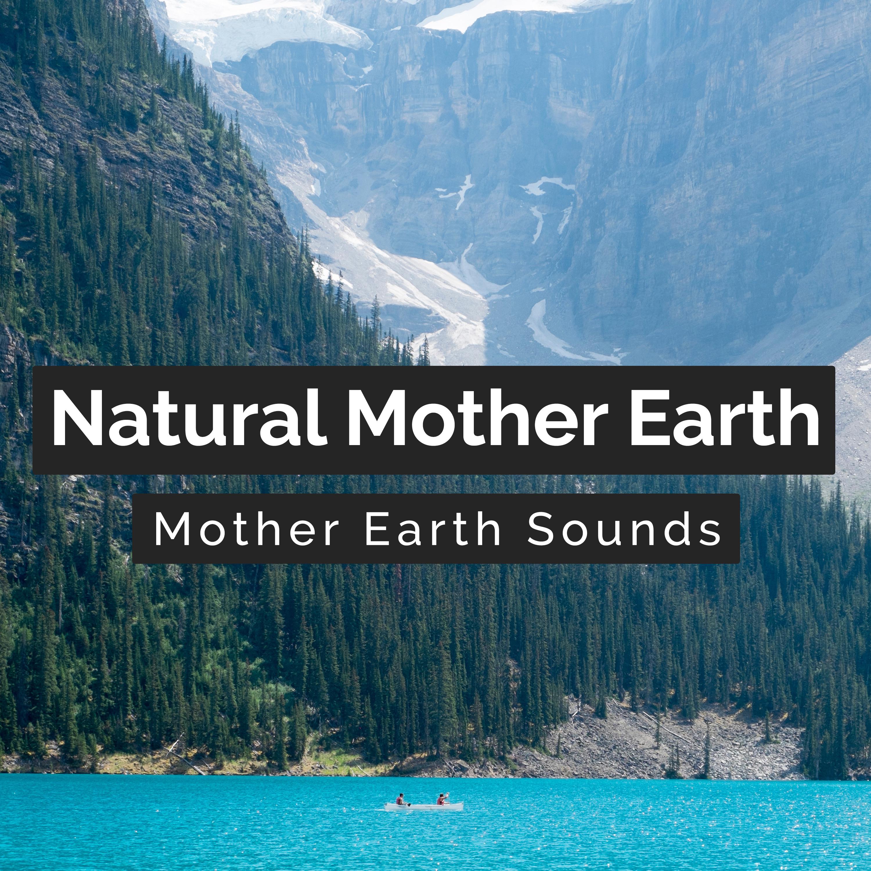 Mother Earth Sounds - Birds Brave the Rain