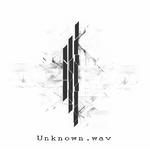 Unknown.wav专辑